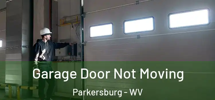  Garage Door Not Moving Parkersburg - WV