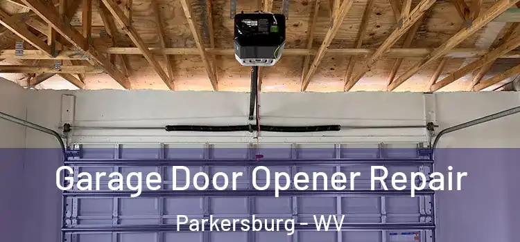  Garage Door Opener Repair Parkersburg - WV