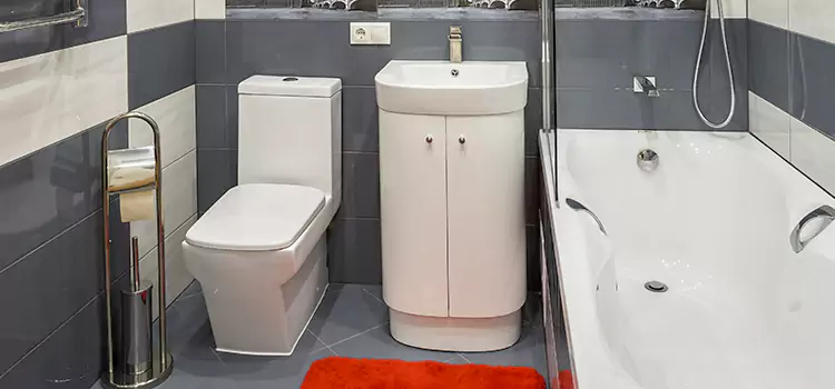 Hansgrohe Shaving Mirror Parkersburg